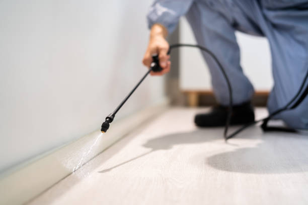 Licensed Termite Control service in Minster, OH - Nex Pest Control