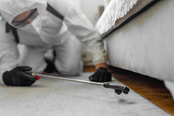 Professional Termite Control technician working in Minster, OH