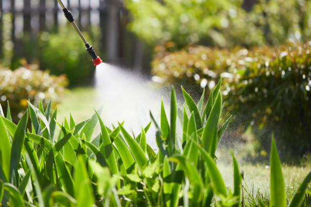 24/7 Emergency Termite Control experts in Minster, OH