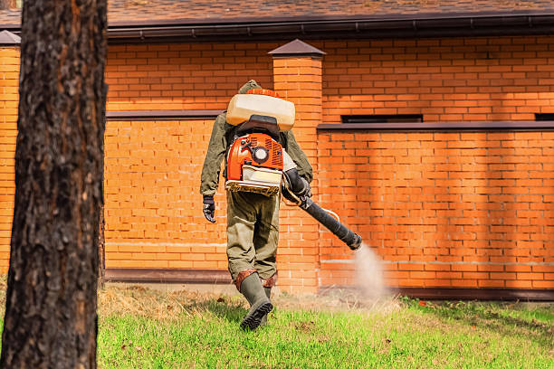 Top rated local Termite Control specialists in Minster, OH